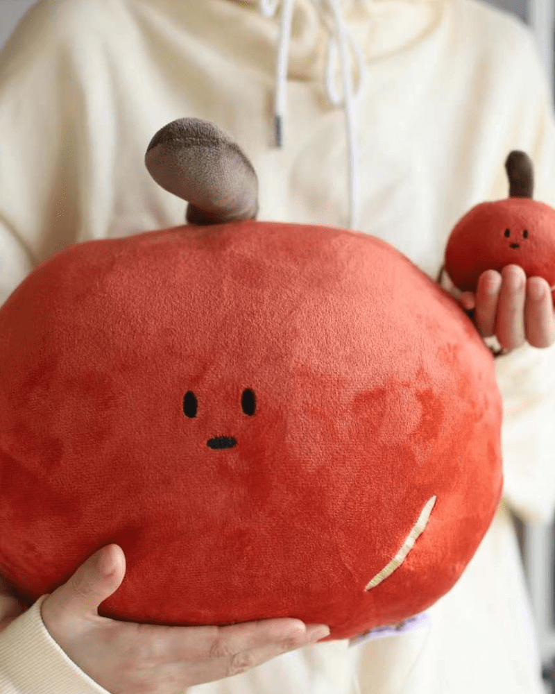 【✨人氣商品✨】9款 放大版 手工刺繡抱枕