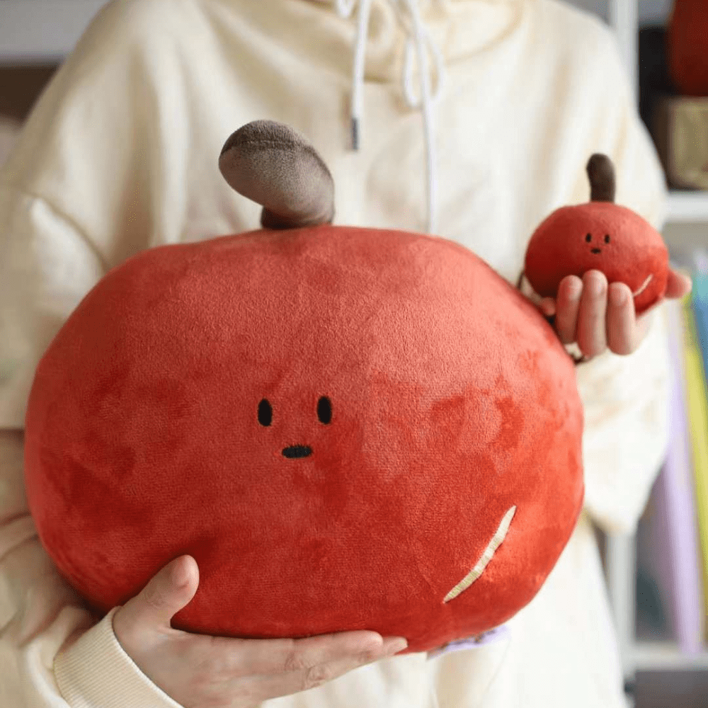 【✨人氣商品✨】9款 放大版 手工刺繡抱枕